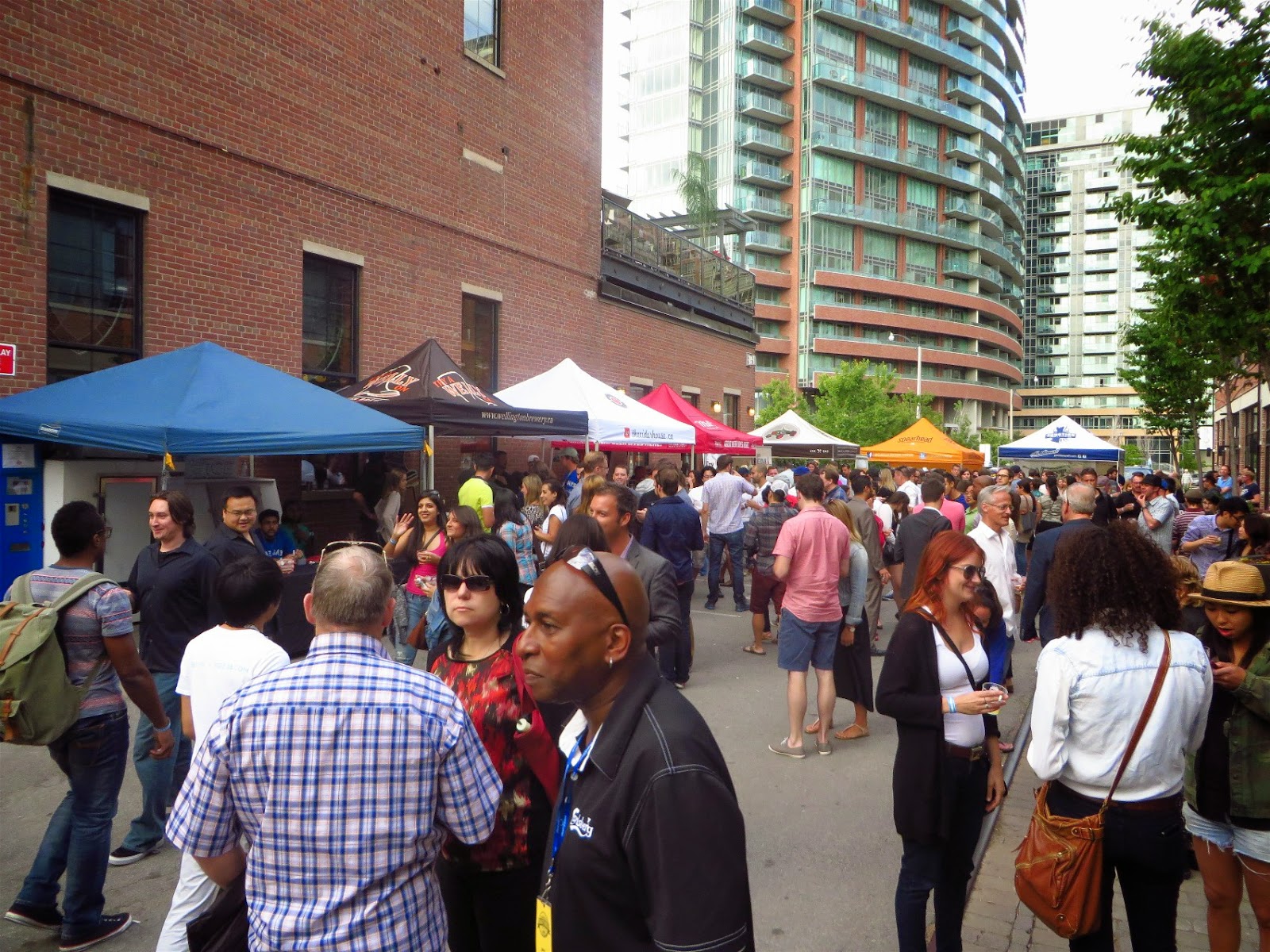 The World of Gord Summer Craft Beer Fest in Liberty Village