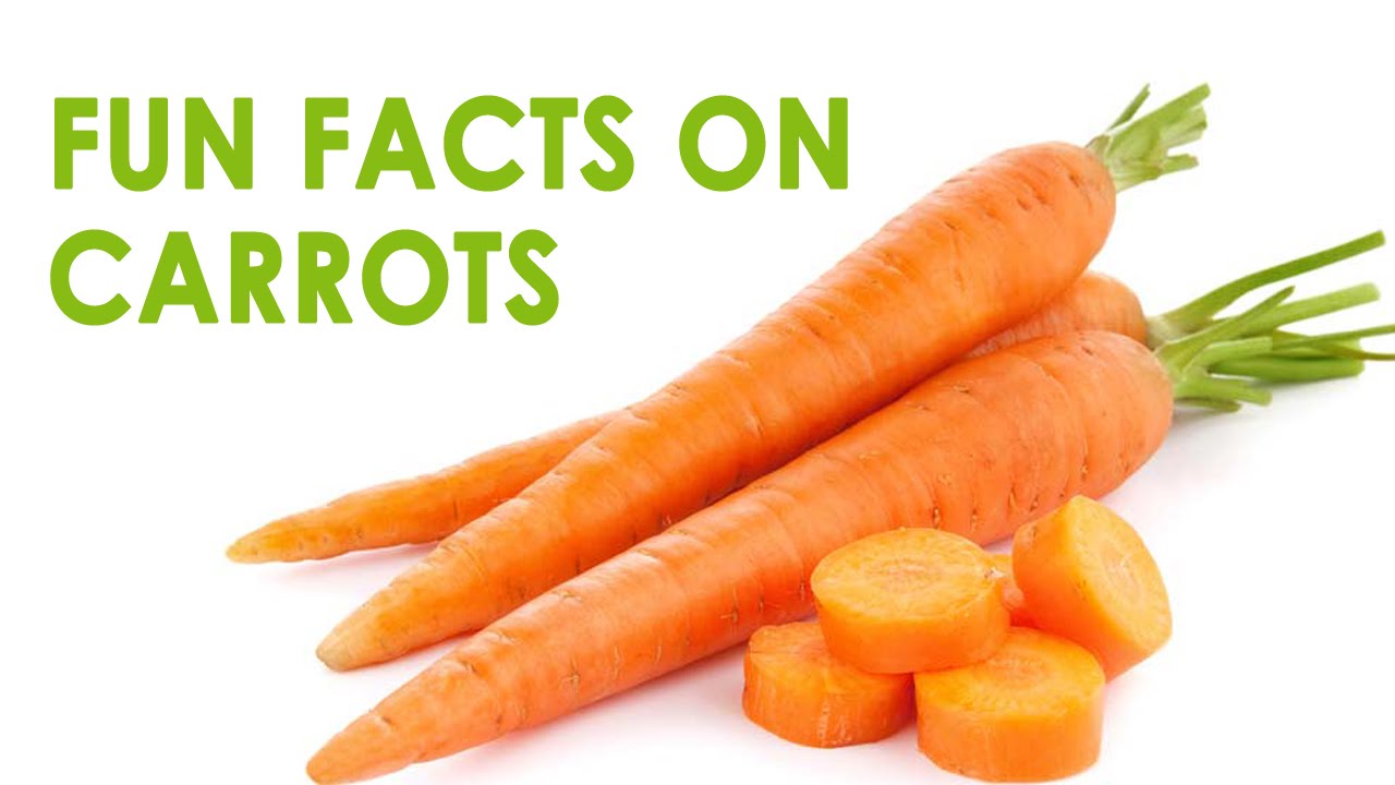10 Benefits of Carrots The Crunchy Powerfood