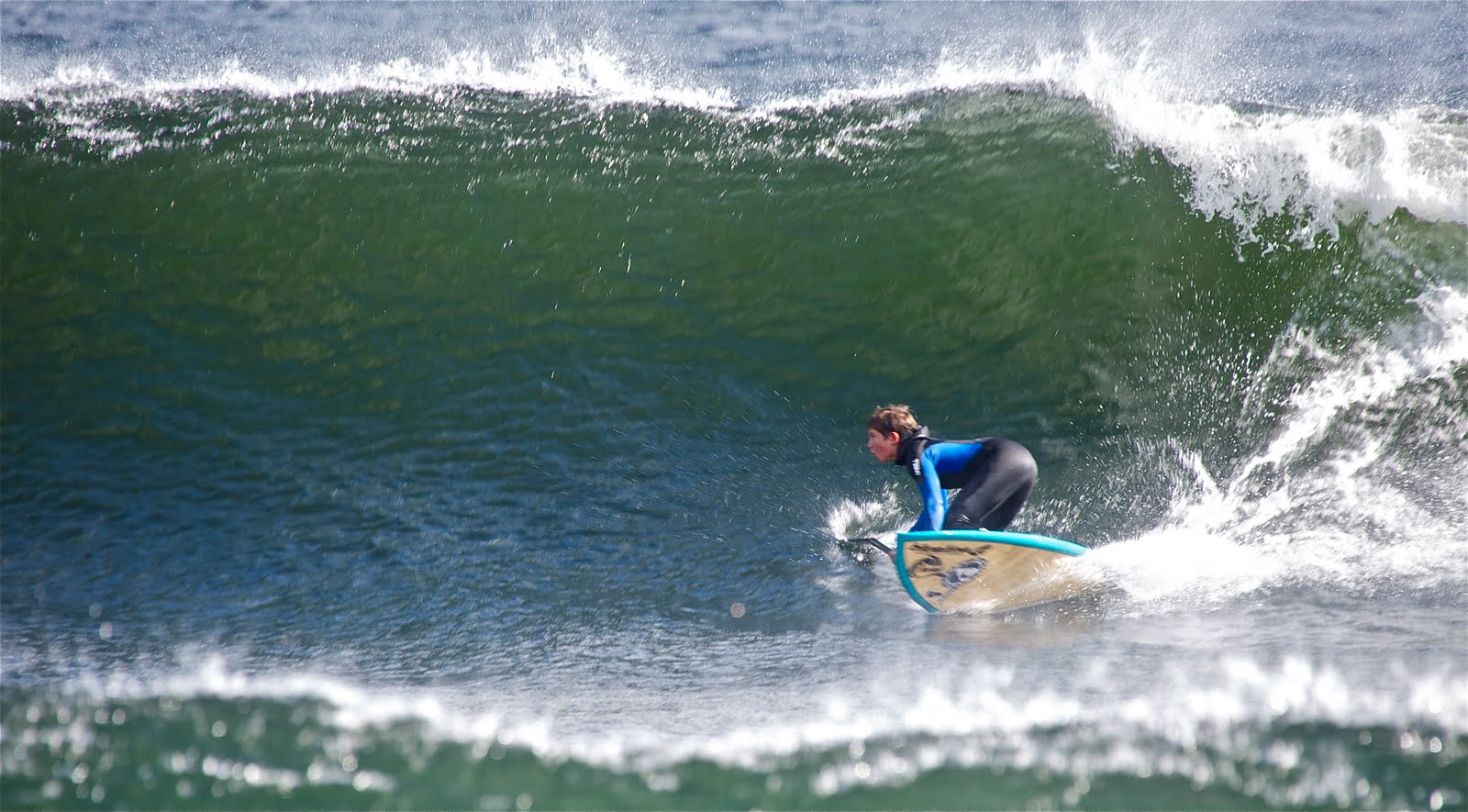 BlueLine Santa Barbara Stand Up Paddle Surfing NOVA SCOTIA