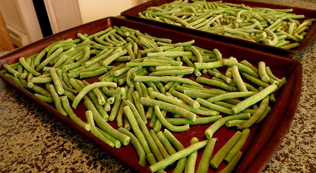 Frozen green beans, preserving