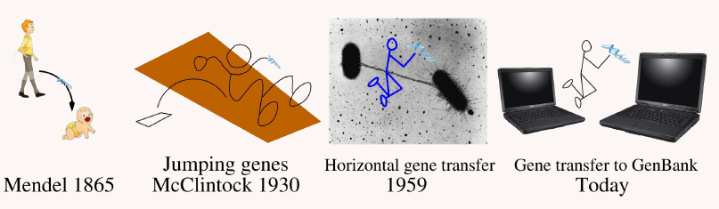 Mycoplasma Contamination in Cell-Line Based Experiments
