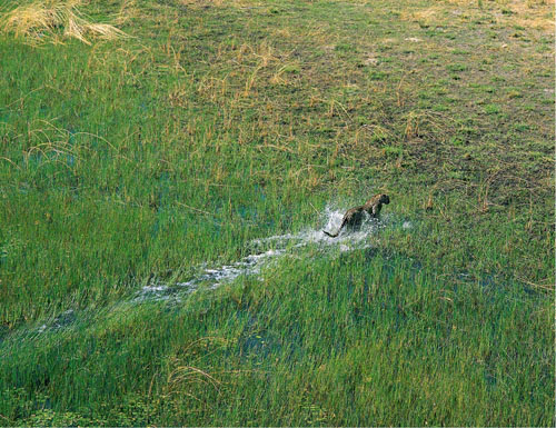 espace rencontre jette