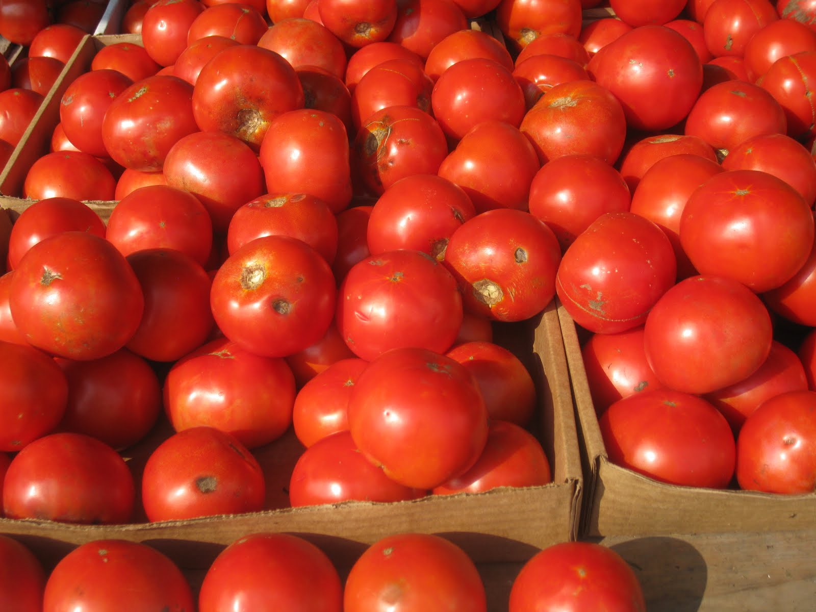 Gluten Free AZ Jersey Corn and Tomato Salad