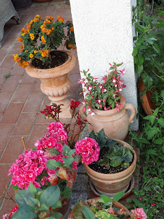 04 09 2015 Potsdam Landtag Wandervogel