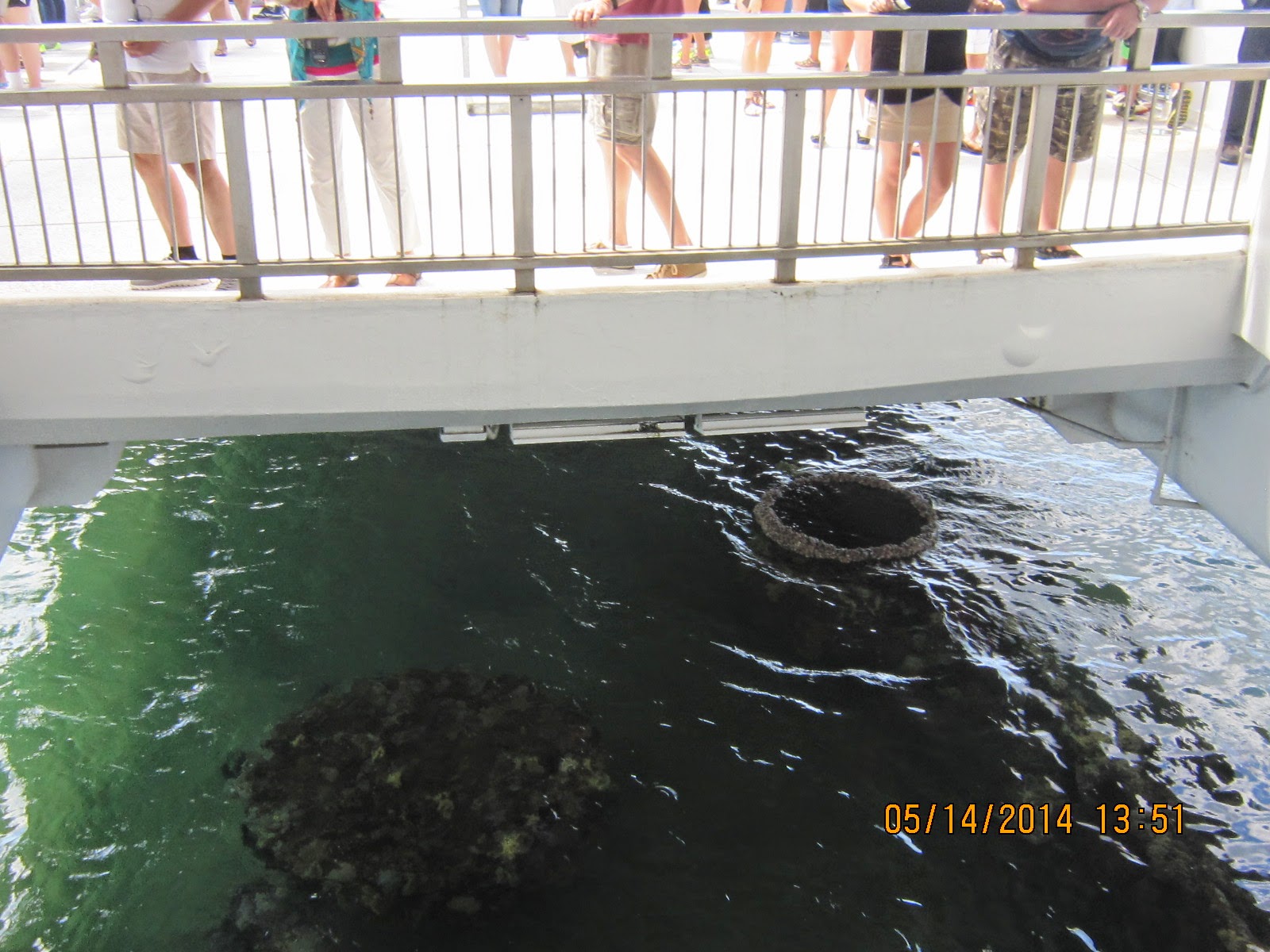 ARIZONA MEMORIAL 2014 AT SEA