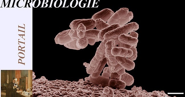 cours biologie cellulaire S1 partie 1 - YouTube