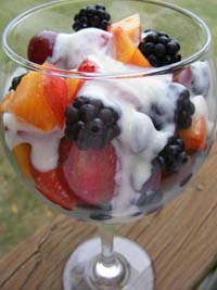 low fat fruit salad yogurt Look up our guide to fruit salad dressings and frozen fruit salads you can create exciting fruit salad dressings with low fat yogurt and applesauce and honey. low fat fruit salad yogurt Look up our guide to fruit salad dressings and frozen fruit salads you can create exciting fruit salad dressings with low fat yogurt and applesauce and honey.