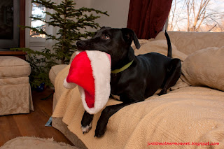 Gibson Ate Santa- photo by Christy Hammond justtheothermoment.blogspot.com