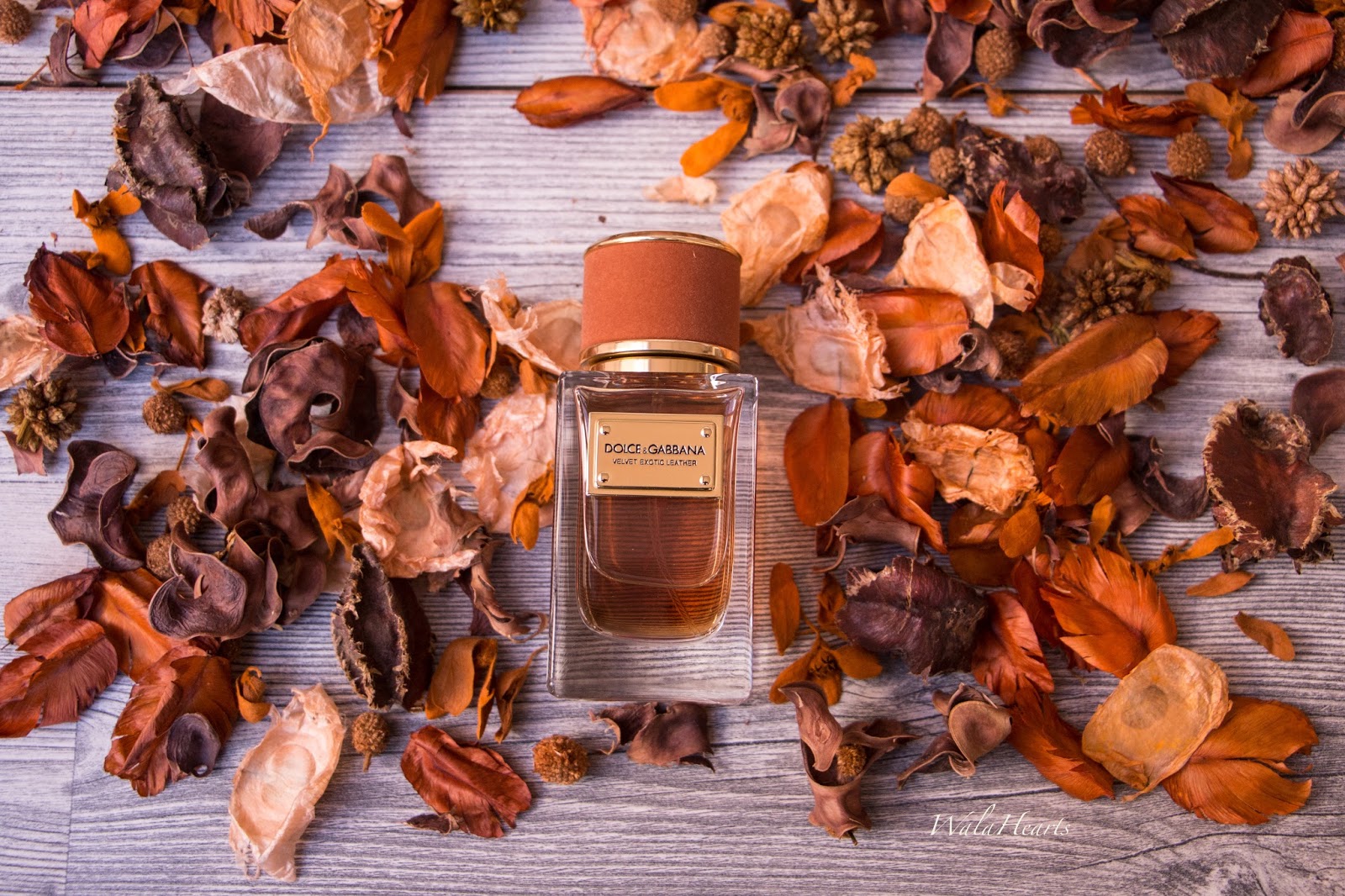 velvet exotic leather