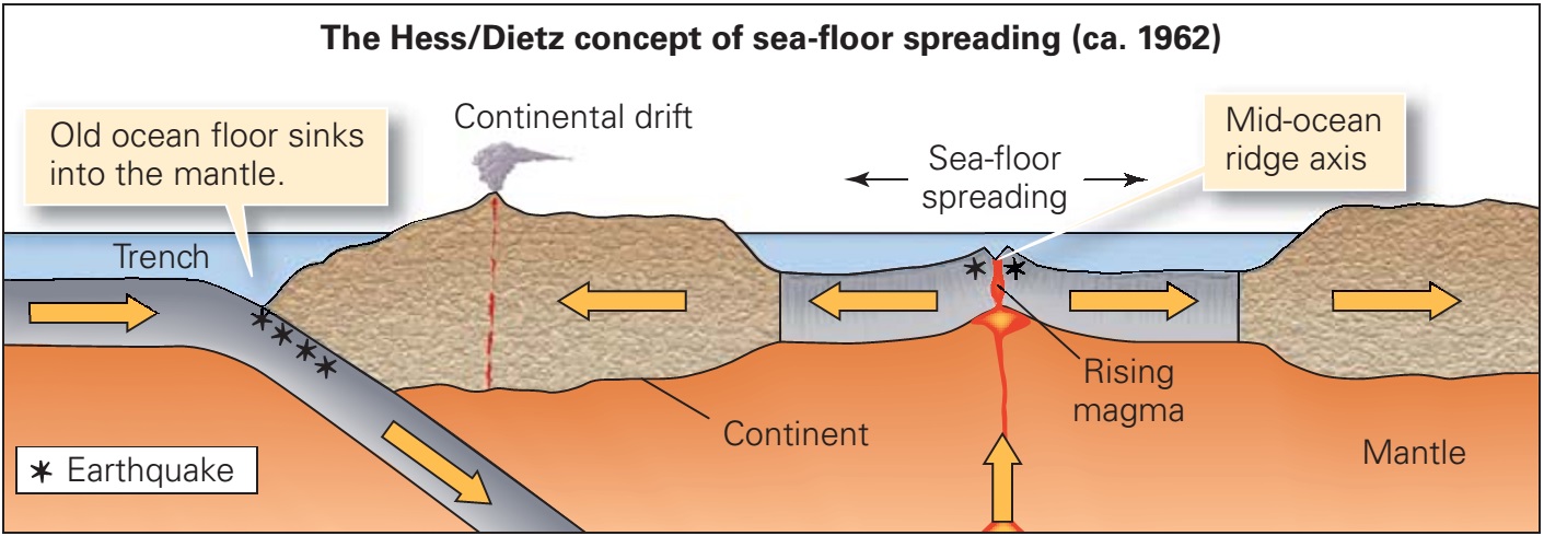 The Discovery Of Sea Floor Spreading Learning Geology
