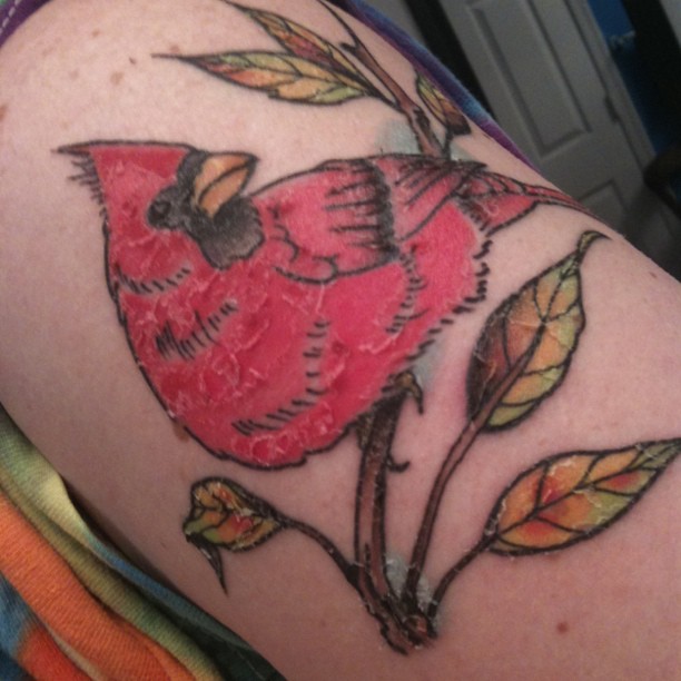 A week and a half ago I got my third tattoo a cardinal in memory of my mom