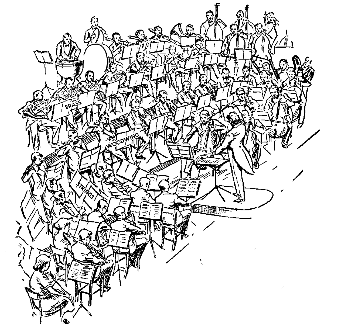 Orchestra Pictures Exclusive Music