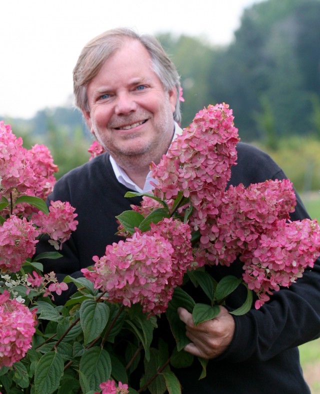 Cercis Canadensis Redbud Tree Garden Trees Shrubs Garden