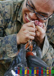 Marinir-AS-makan-Ayam-Hidup.jpg
