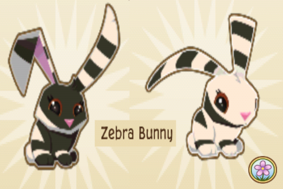 Dancing Love Bunnies! Zebra Bunny