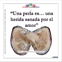 Qué hermosas son las perlas. aún así debemos saber que son producto del dolor Reflexiones de esperanza,