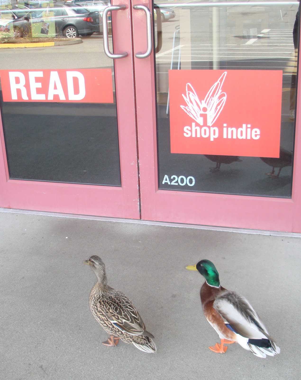 Third Place Blog What Ducks Read