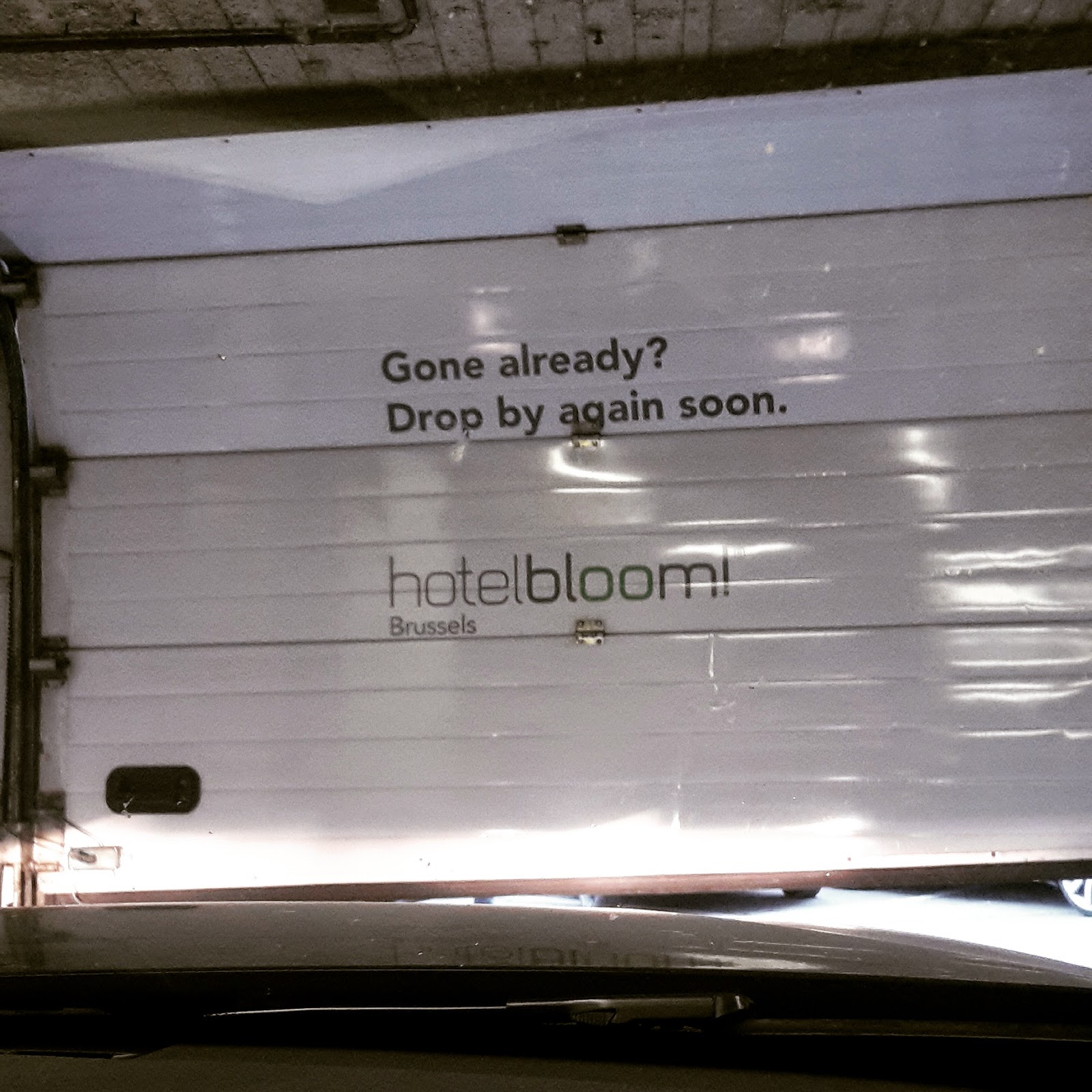 Josie S Little Things