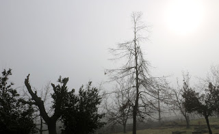 The sun is finally burning through the fog The sun is finally burning through the fog