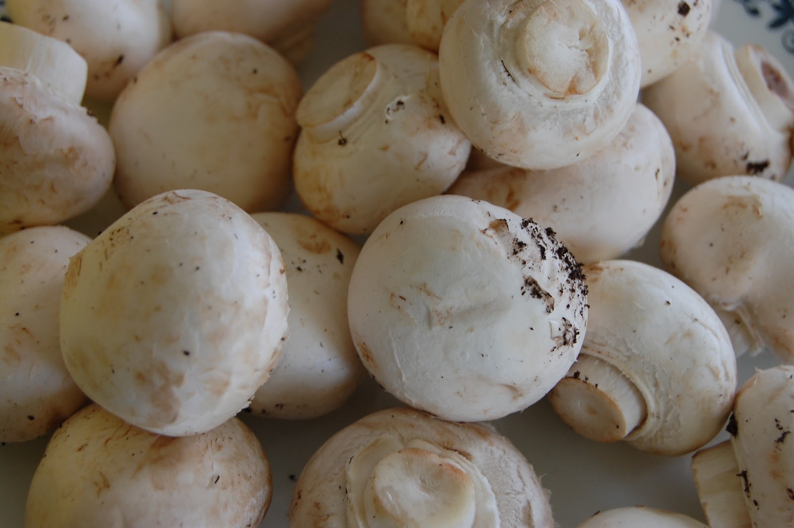 Cook! Create! Consume! How to clean/wash mushrooms