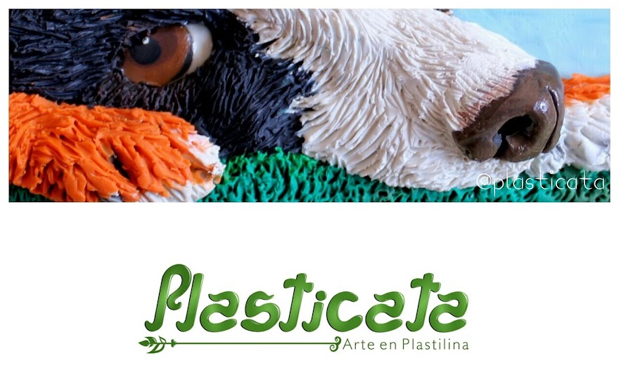 Plasticata