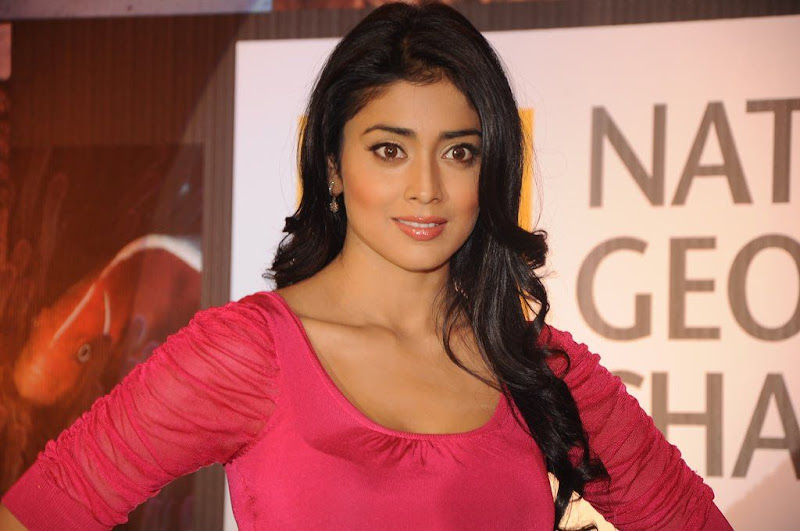 Shriya Saran HQ Wallpaper At National Geographic TV Channel Launch Events hot photos