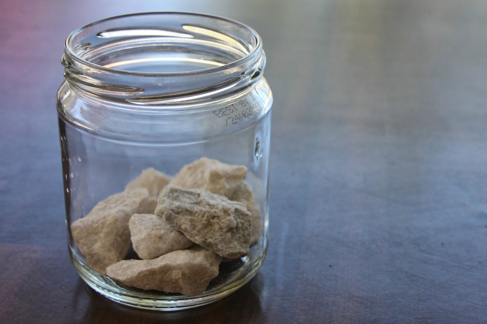 Lavende and Lemonade DIY Make a Terrarium