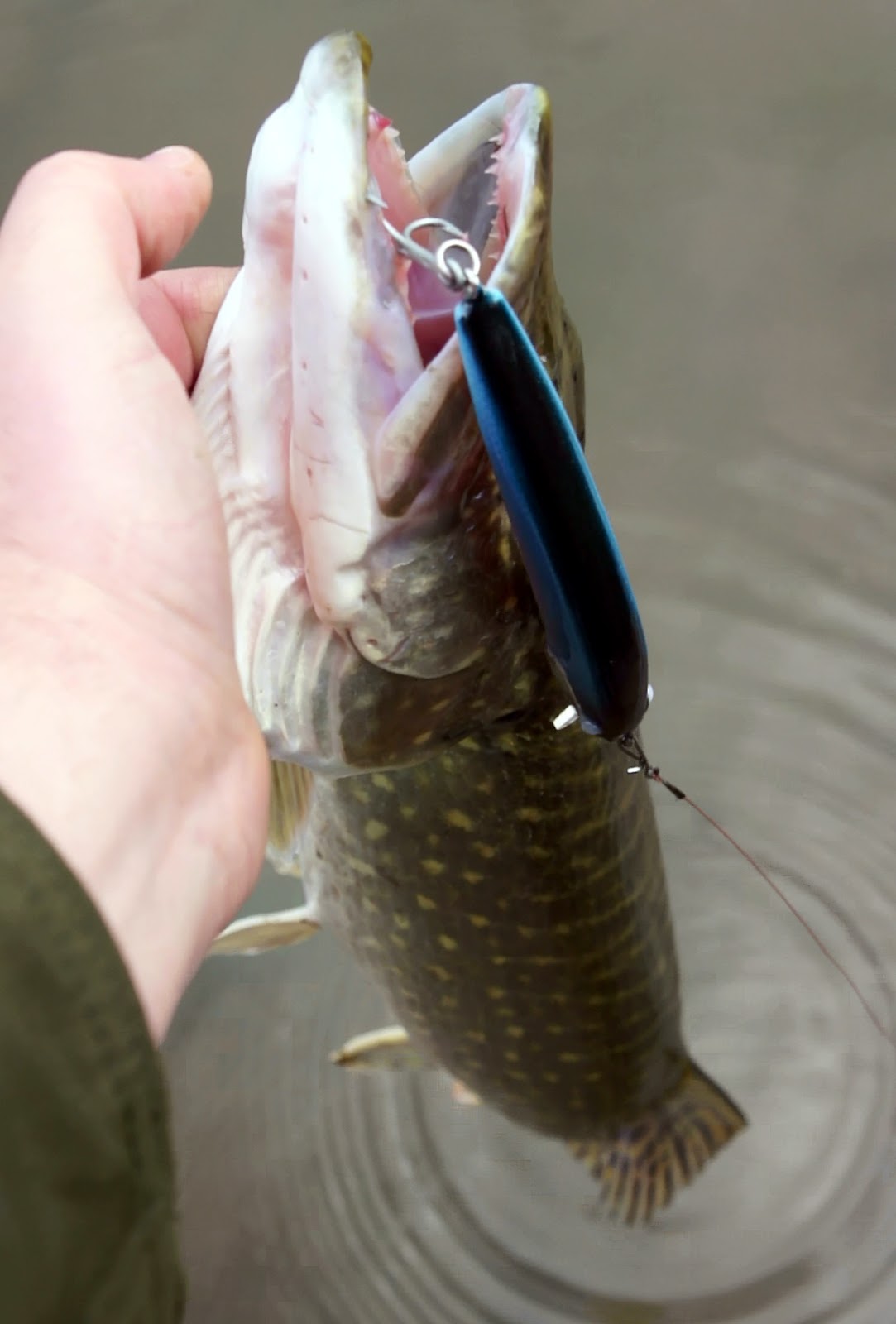 Homemade Fishing Lure Blog How to make a balsa lure part 4