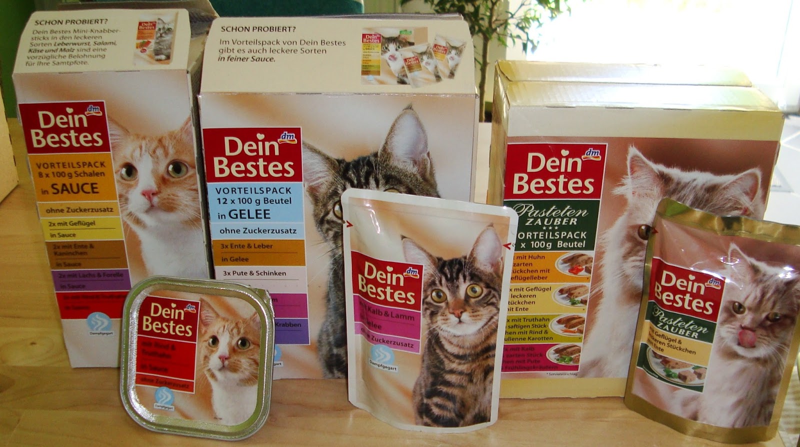 bestes futter für kitten