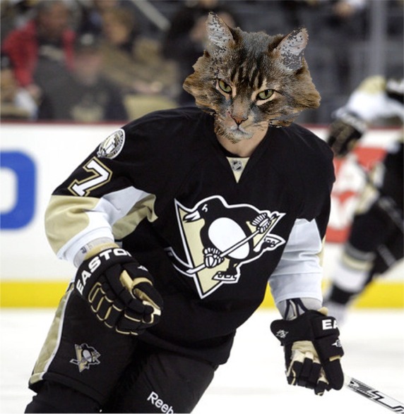 Pittsburgh Penguins Hockey Cat 