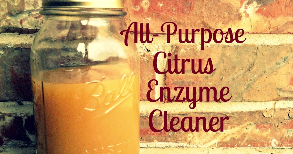 Beautiful Somehow All Purpose Citrus Enzyme Cleaner