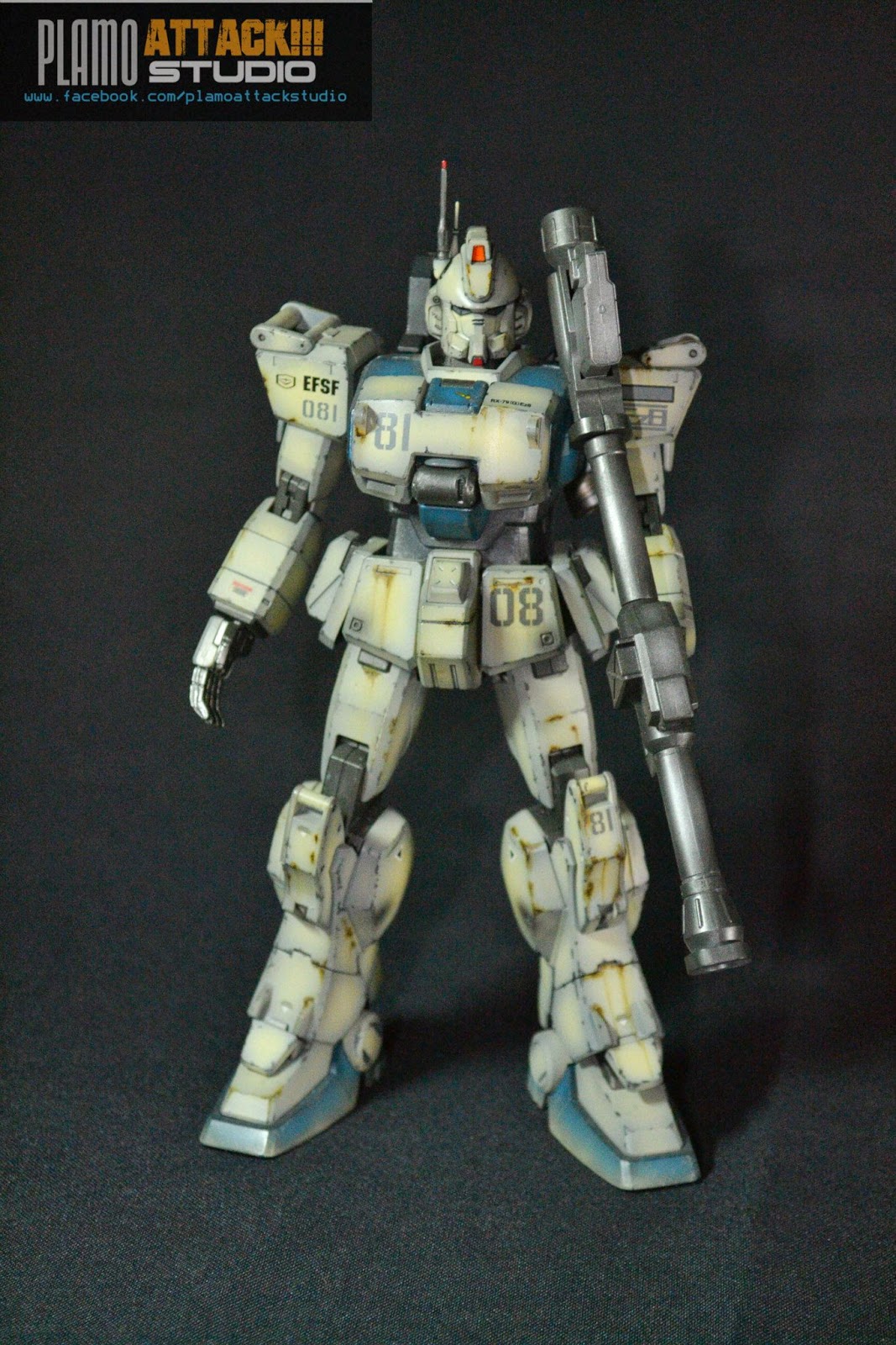 Custom Build MG 1/100 RX79[G]Ez8 Gundam Ez8 Gundam Kits Collection