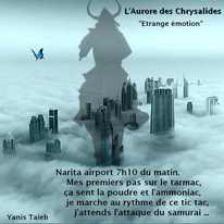 L'Aurore des Chrysalides