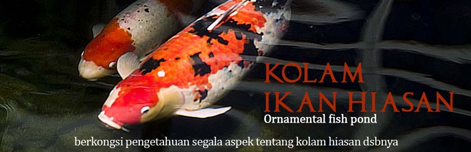 KOLAM IKAN HIASAN