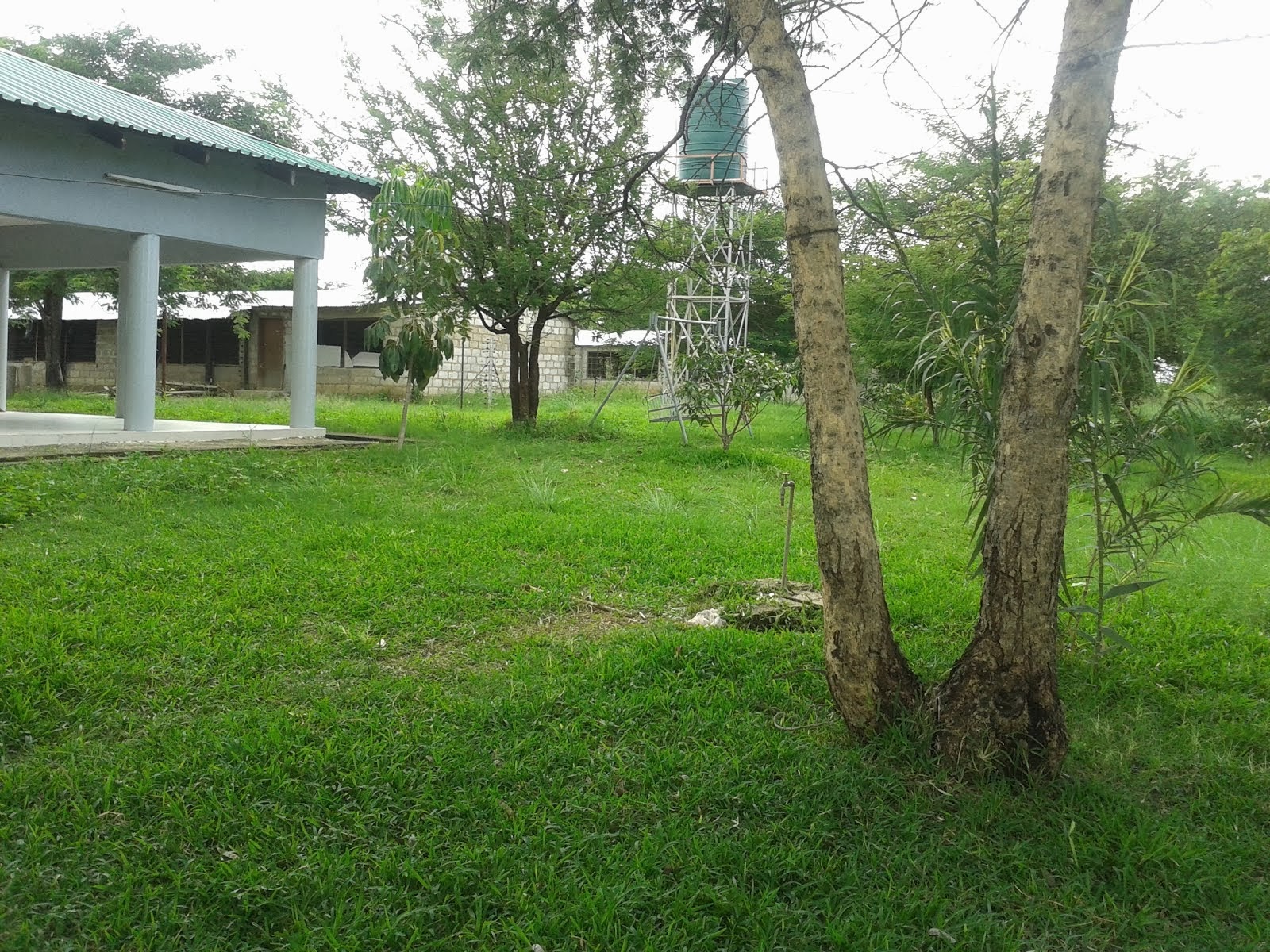 Central Estates Zambia Farms For Sale IN ZAMBIA southern africa