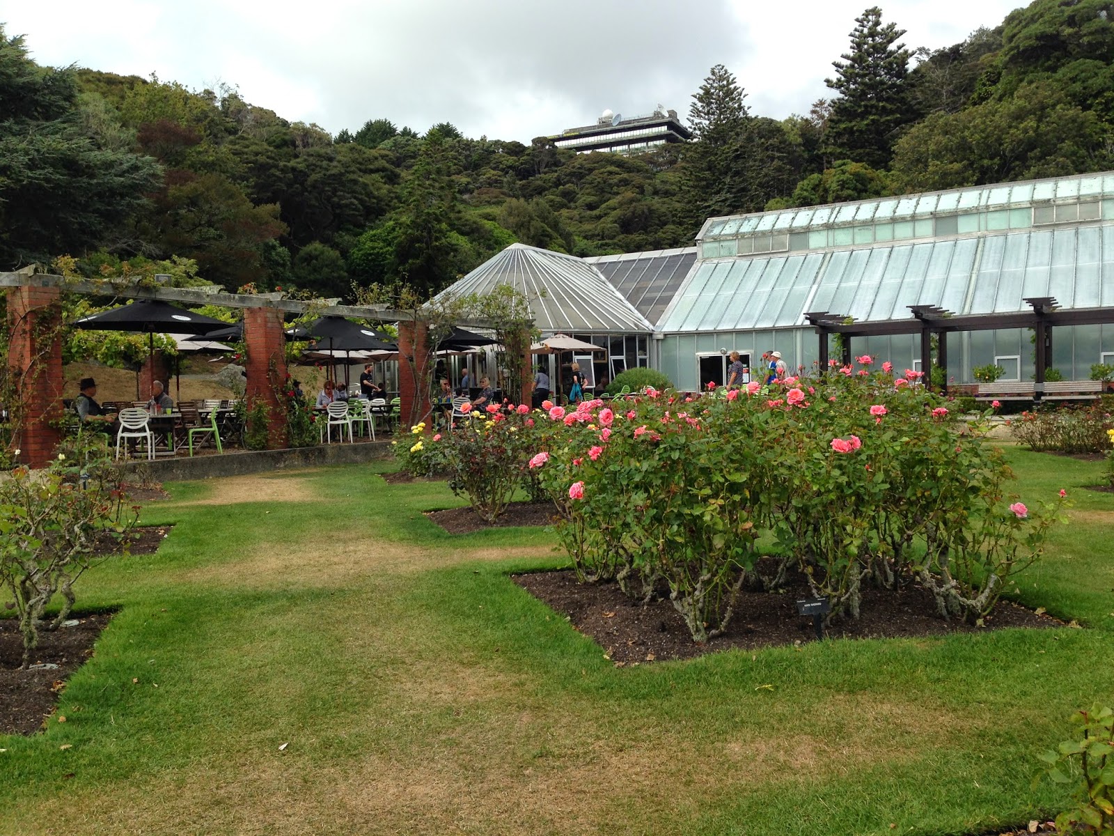 Wellington kid Family Cafe in Wellington