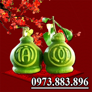 Bưởi Tài Lộc Lửng Bưởi Tài Lộc Lửng