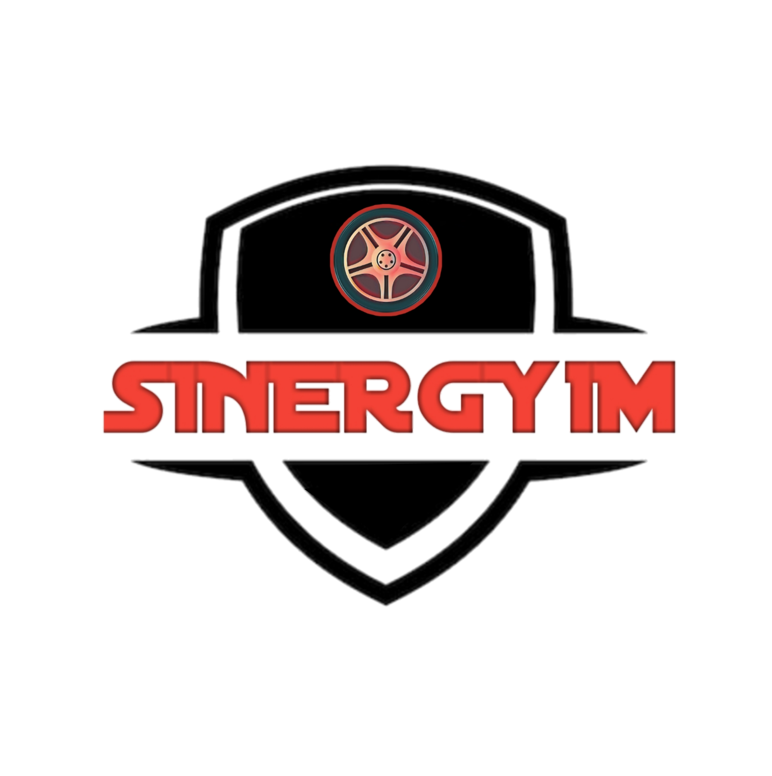 Logo Sinergy1m Team