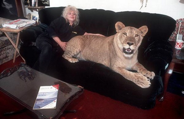 Exotic Pets Animal Photo
