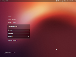 ubuntu 12.10 screenshot