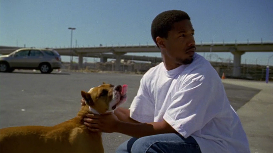 Watch Fruitvale Station Online Microbiology Watch Fruitvale Station Online Microbiology