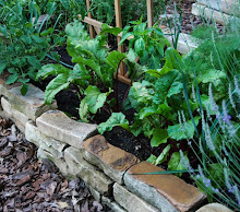 Sustainable Kitchen Gardening