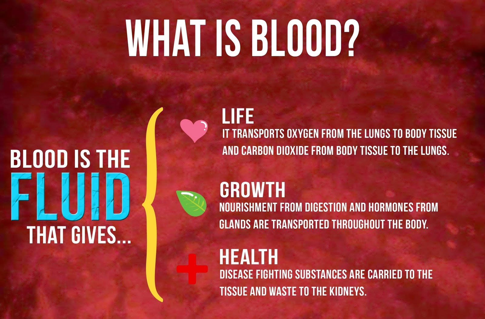 What is blood 97 What is blood 96