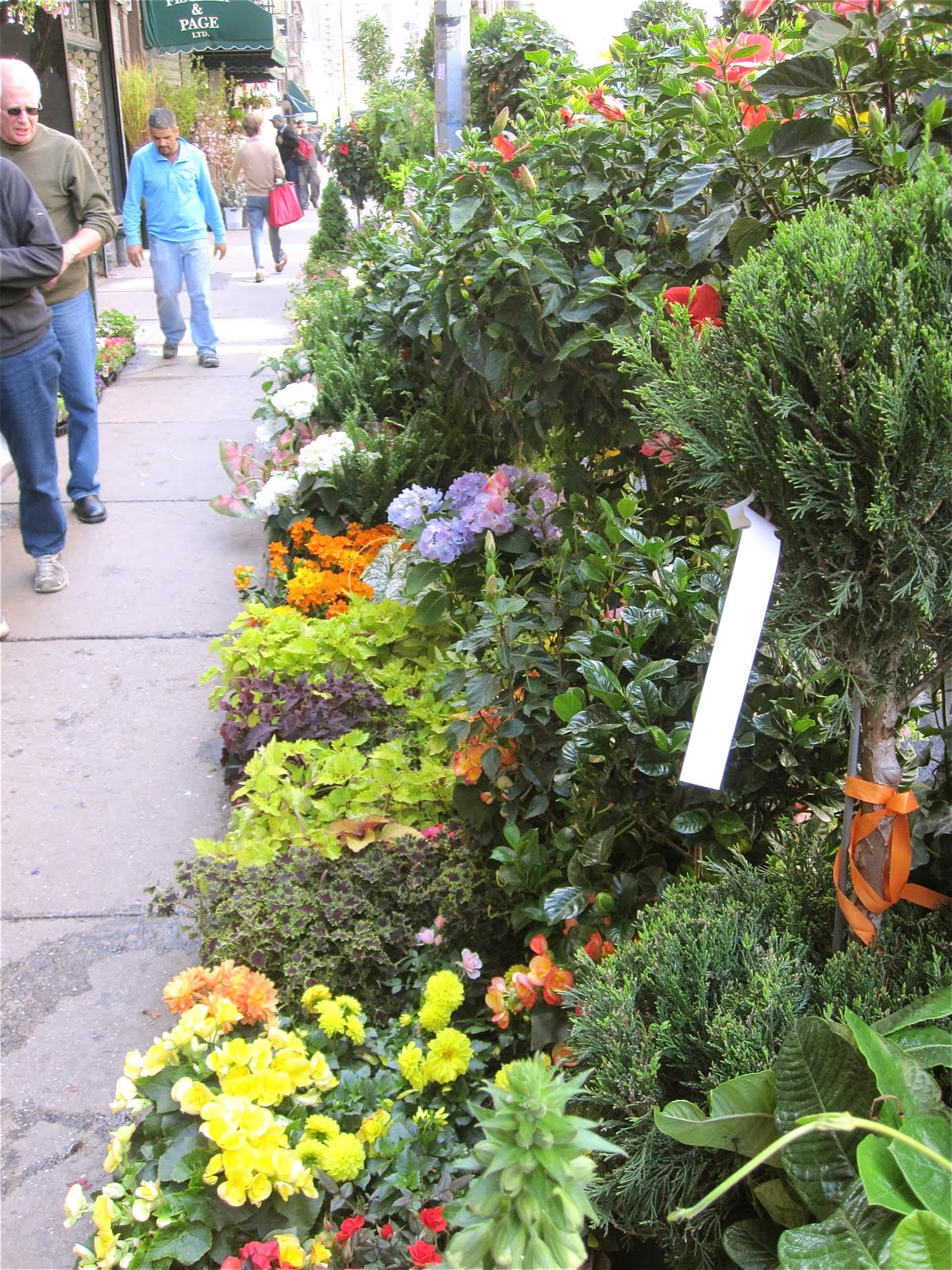 Dovecote Decor New York City Out and About with My Girls