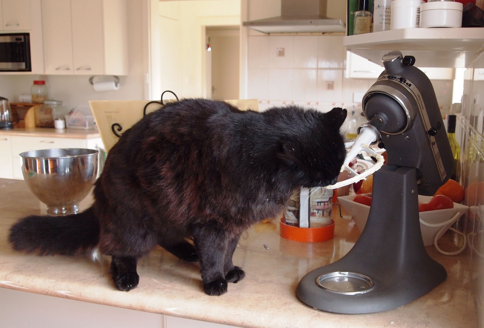The Bush Gourmand Lemon Cat Cake