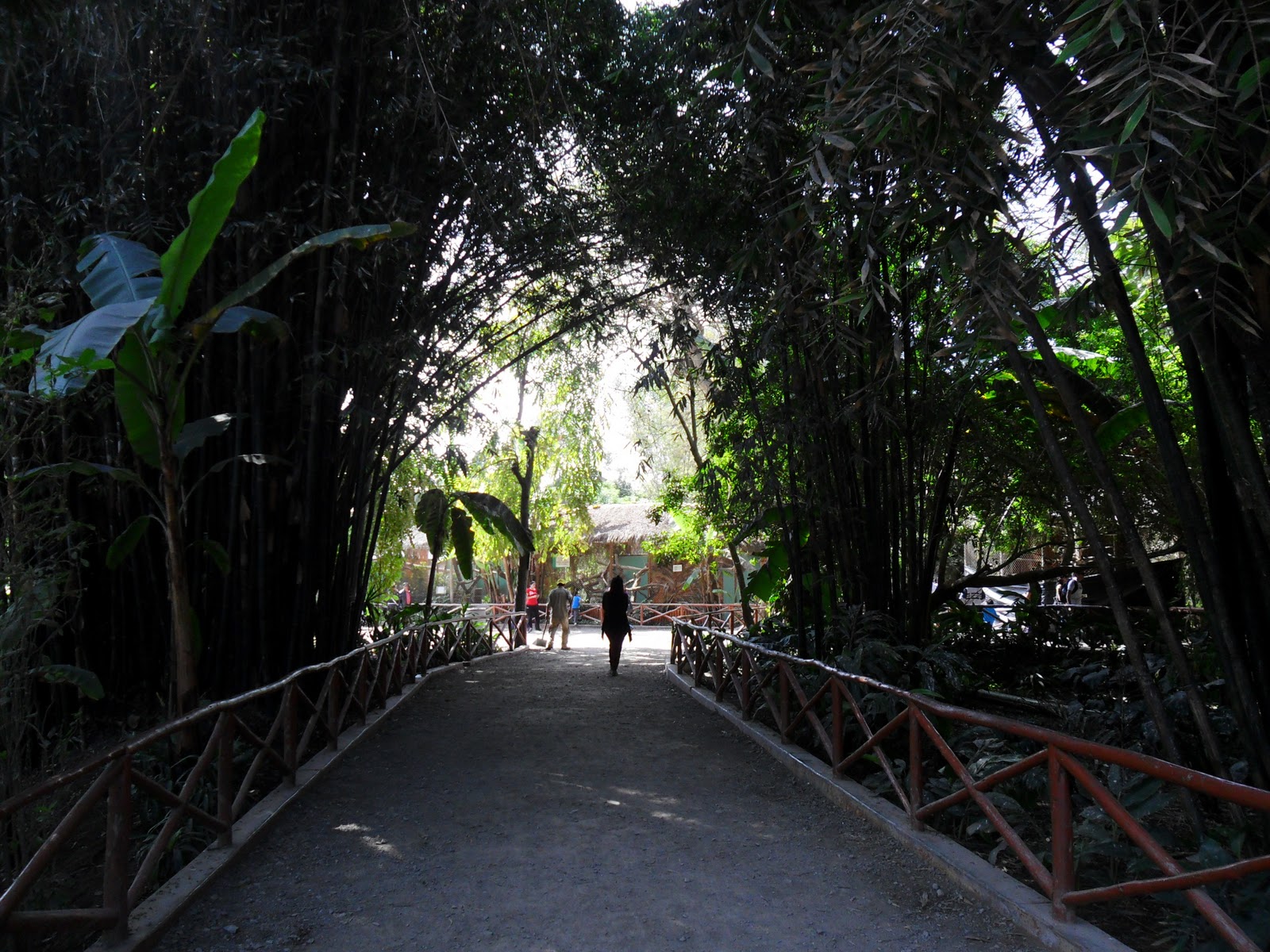 Noticia Kallejera Parque de las Leyendas