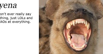 11 Types Of Facebookers