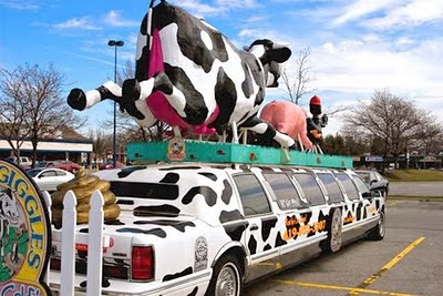 Cow Limo