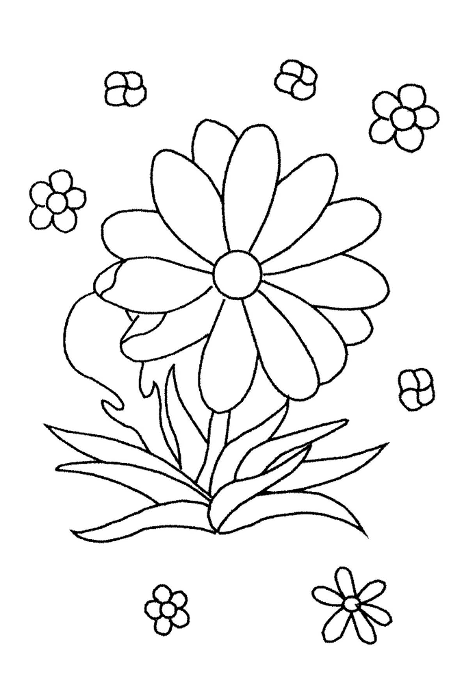 desenho flores