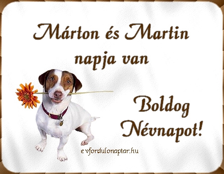 November 11 - Márton, Martin névnap